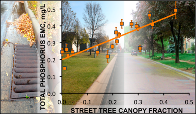 Figure 1: An increase in total phosphorus stormwater concentrations has been correlated with an increase in tree canopy cover (Janke et al, 2017).