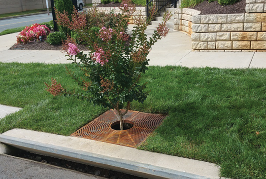 Filterra bioretention system.