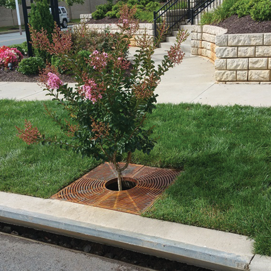 Filterra bioretention system.