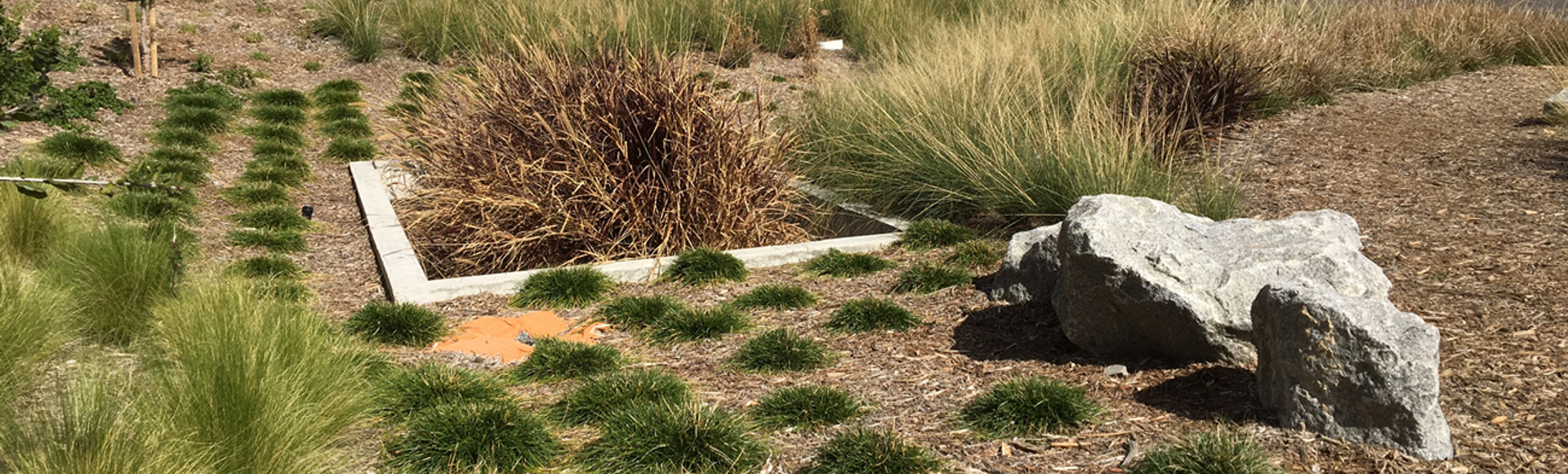 A Filterra Bioscape stormwater bioretention system in a residential neighborhood. 