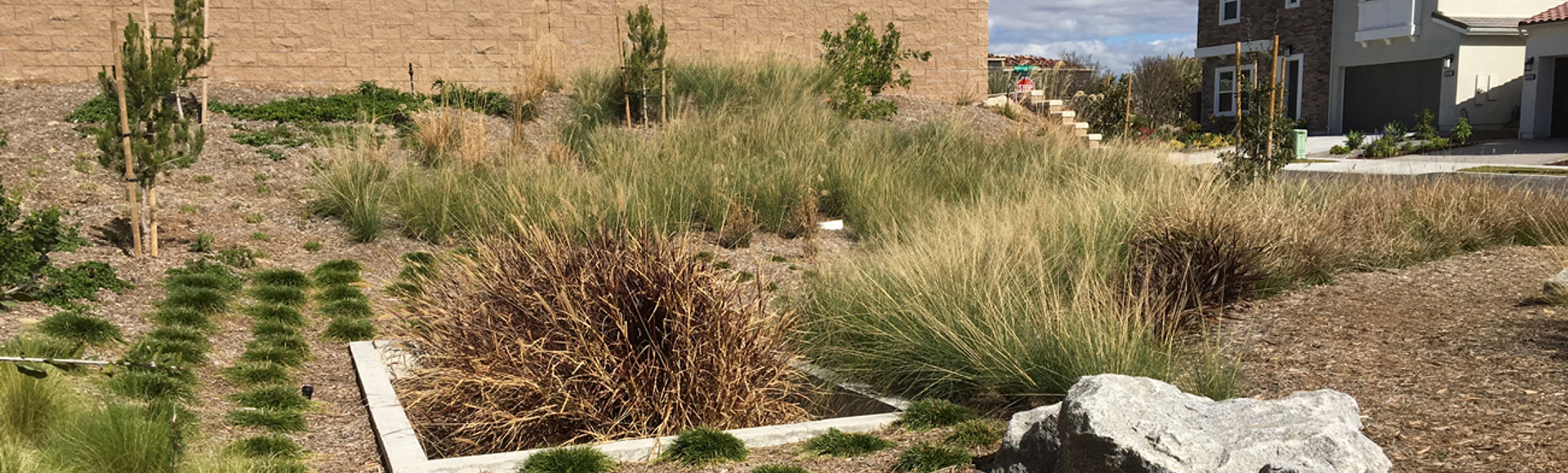A Filterra Bioscape stormwater bioretention system in a residential neighborhood. 