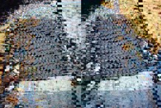 Ajacks concrete armor units protecting a channel drop. 