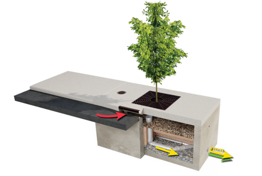 Cross-section diagram of a tree pit system showing water flow paths under a sidewalk and into a filtration area.