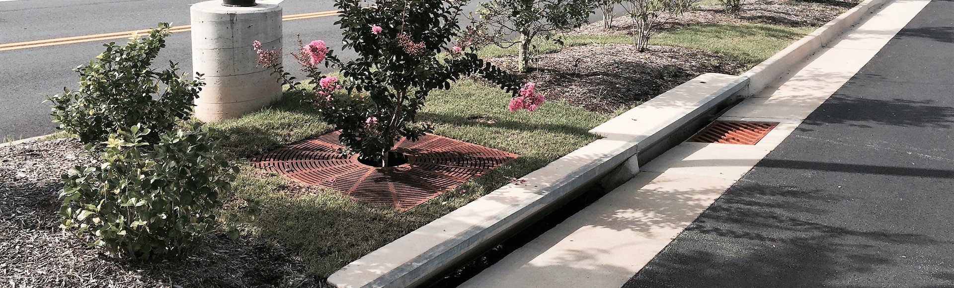 A landscaped median with trees and shrubs runs alongside a road, bordered by a sidewalk and storm drain.